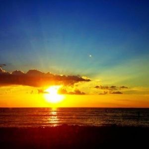 Meet your Posher, Brandy